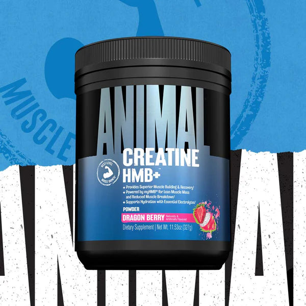 Animal Creatine +HMB 327g - MyGymSupplements