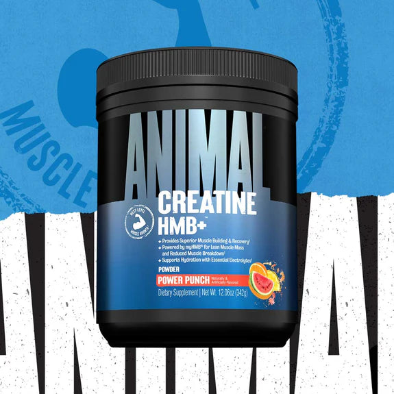 Animal Creatine +HMB 327g - MyGymSupplements