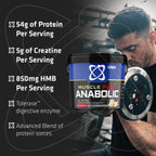 USN Muscle Fuel Anabolic Gainer Variety Pack All In One Gainer Powder