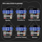 USN Muscle Fuel Anabolic Gainer Variety Pack All In One Gainer Powder