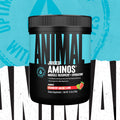 Animal Juiced Aminos - 366g / Strawberry Limeade - Amino Acids Powder