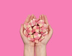 Hands holding pink and white checkered Candy Kittens 10x140g Wanderlust candies