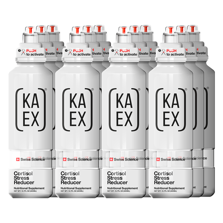KA-EX GO - 12x460ml / Grapefruit Lemon - Hydration Liquid