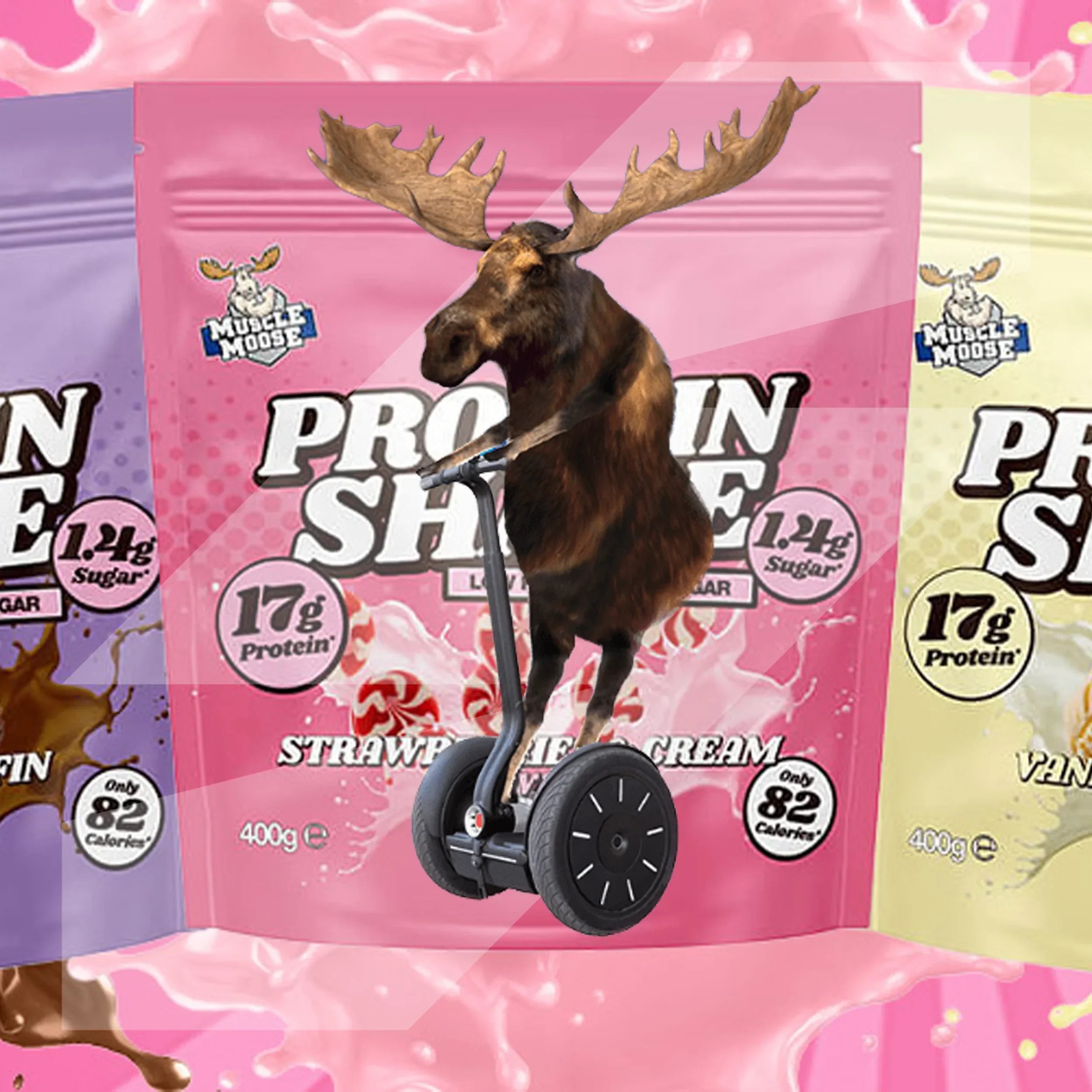Muscle Moose Protein Shake pouch with moose on Segway for muscle recovery