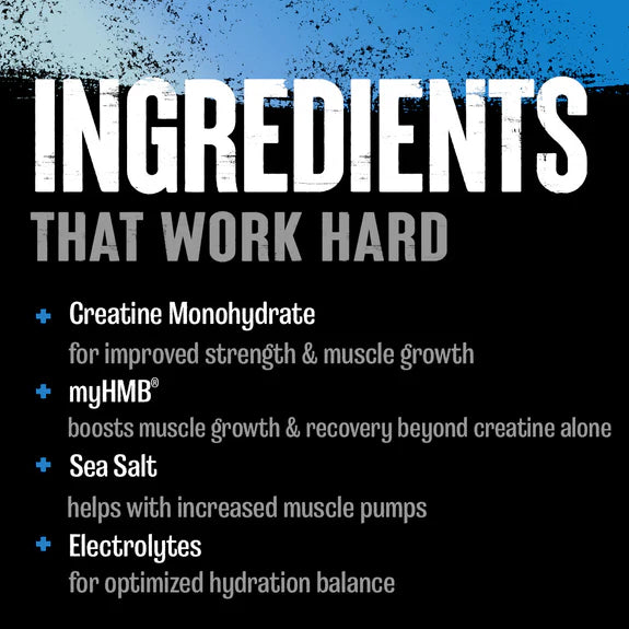 Animal Creatine +HMB 327g - MyGymSupplements