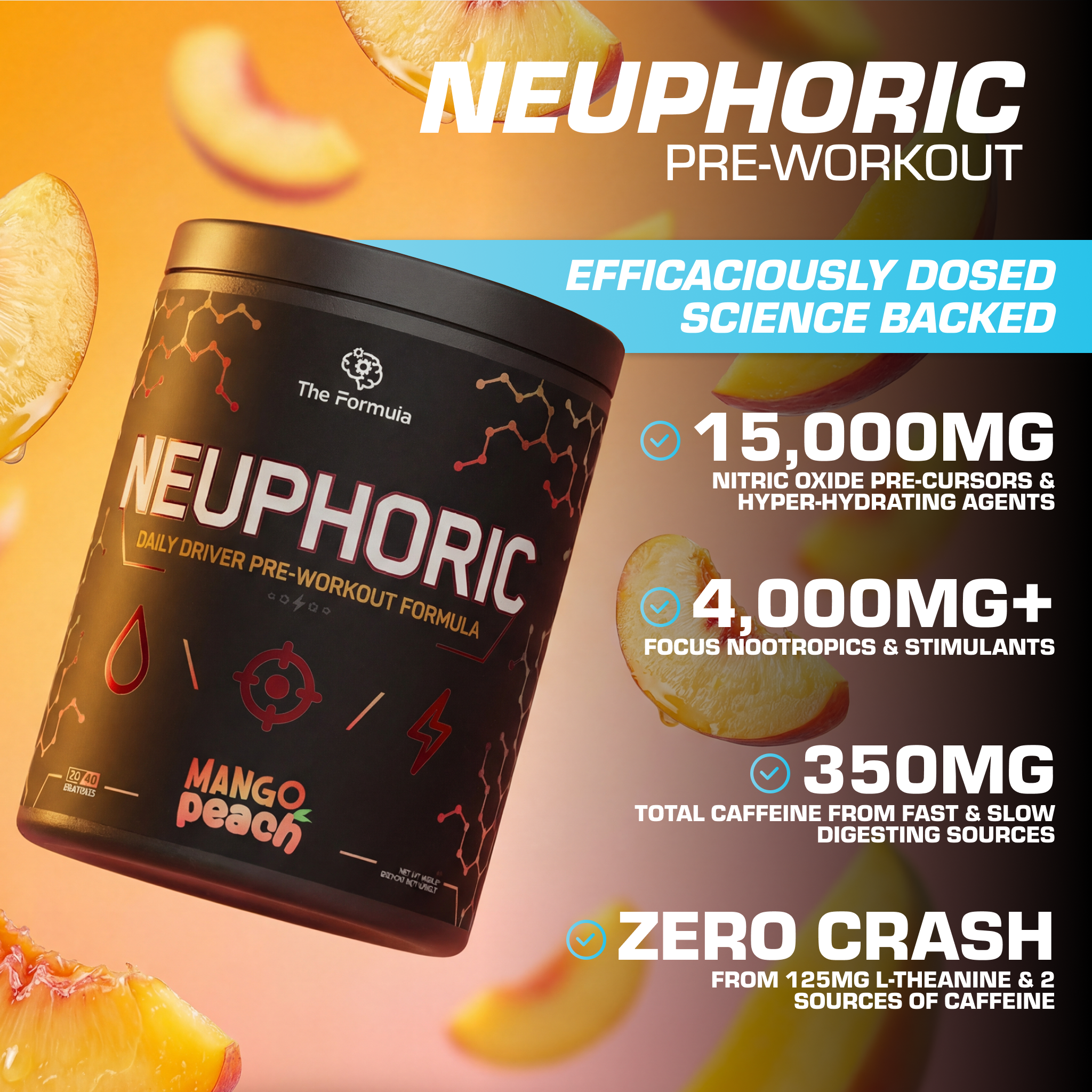 The Formula NEUPHORIC Pre Workout 480g