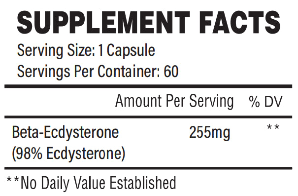 Trained By JP Natural Physique - 60 Caps - Weight Loss Support Capsules