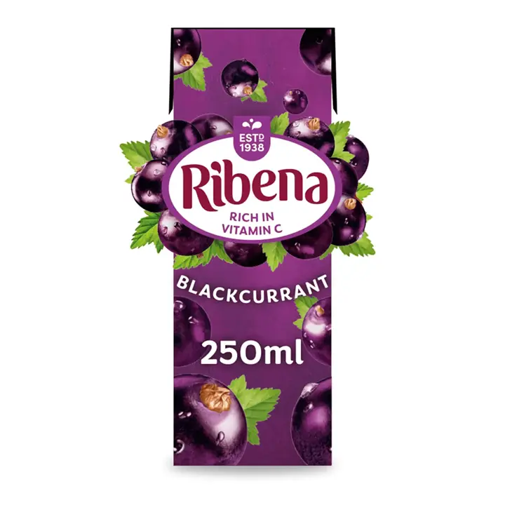 Ribena Original Blackcurrant Cartons 24x250ml