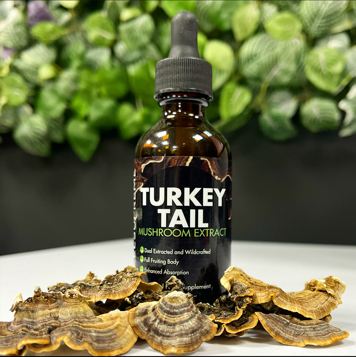 Feel Supreme Turkey Tail Mushroom Liquid | High Strength Tincture for Immunity - 60ml - Mushroom Extract Liquid