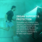 Supplement for organ support with kidney health, dandelion root, and artichoke leaf