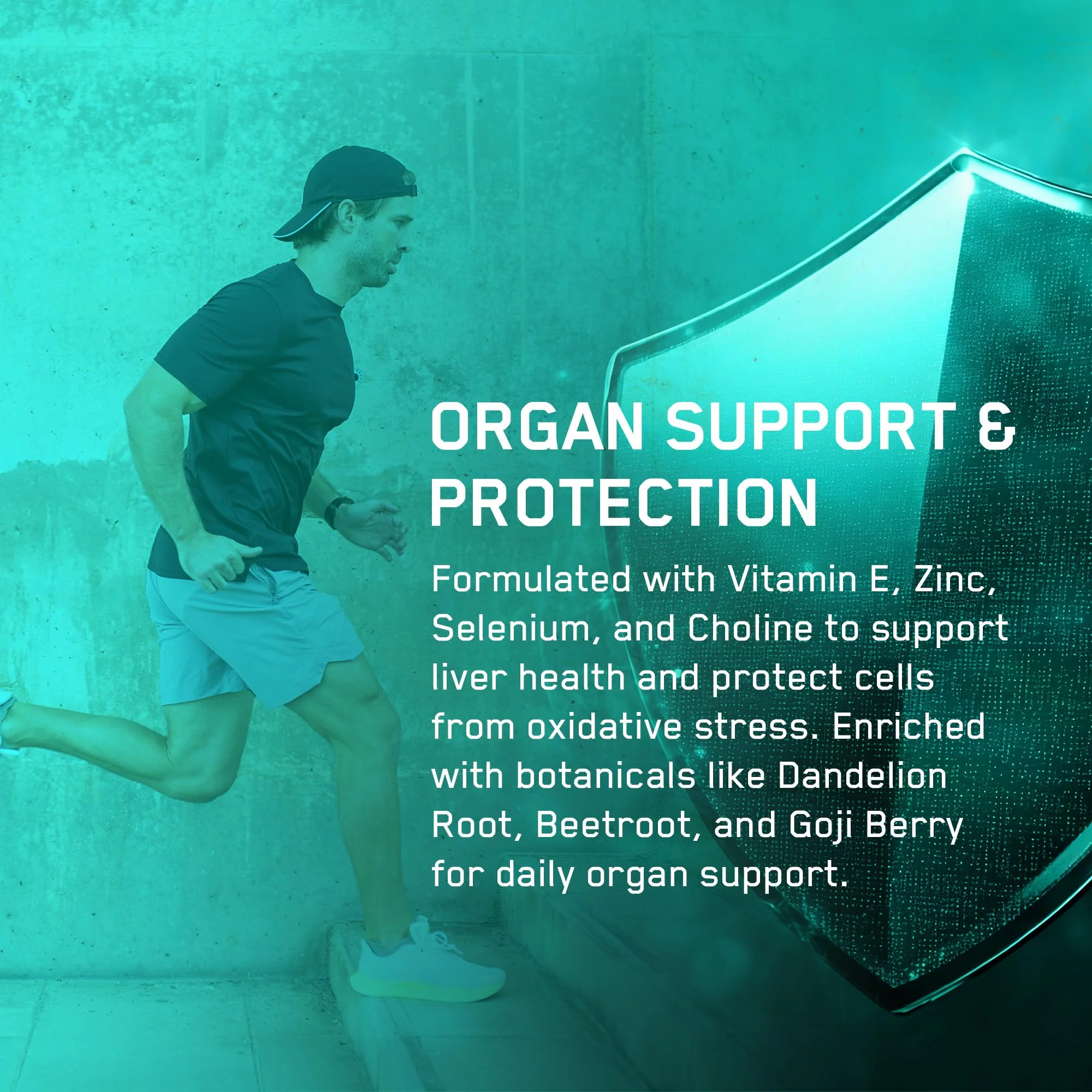 Supplement for organ support with kidney health, dandelion root, and artichoke leaf