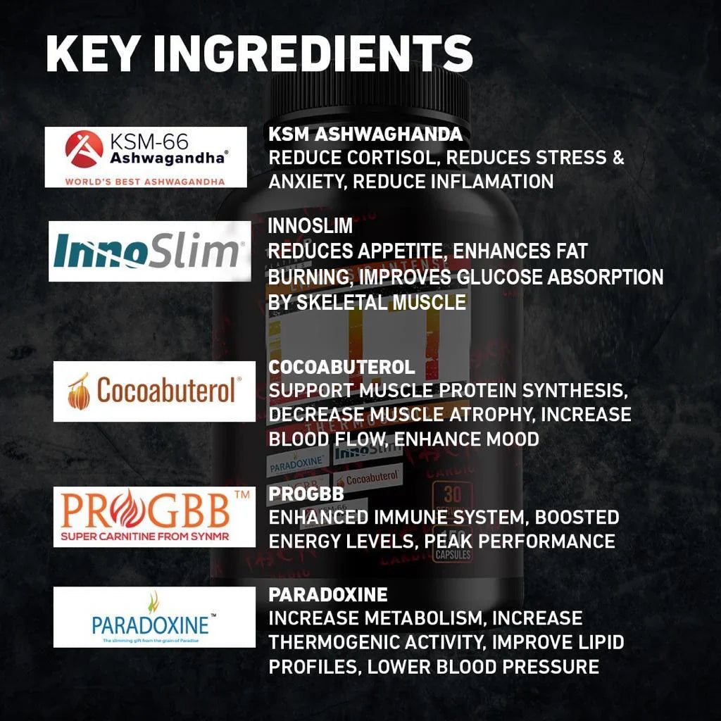 TWP L.I.T Fat Burner - 150 Caps - Fat Burners