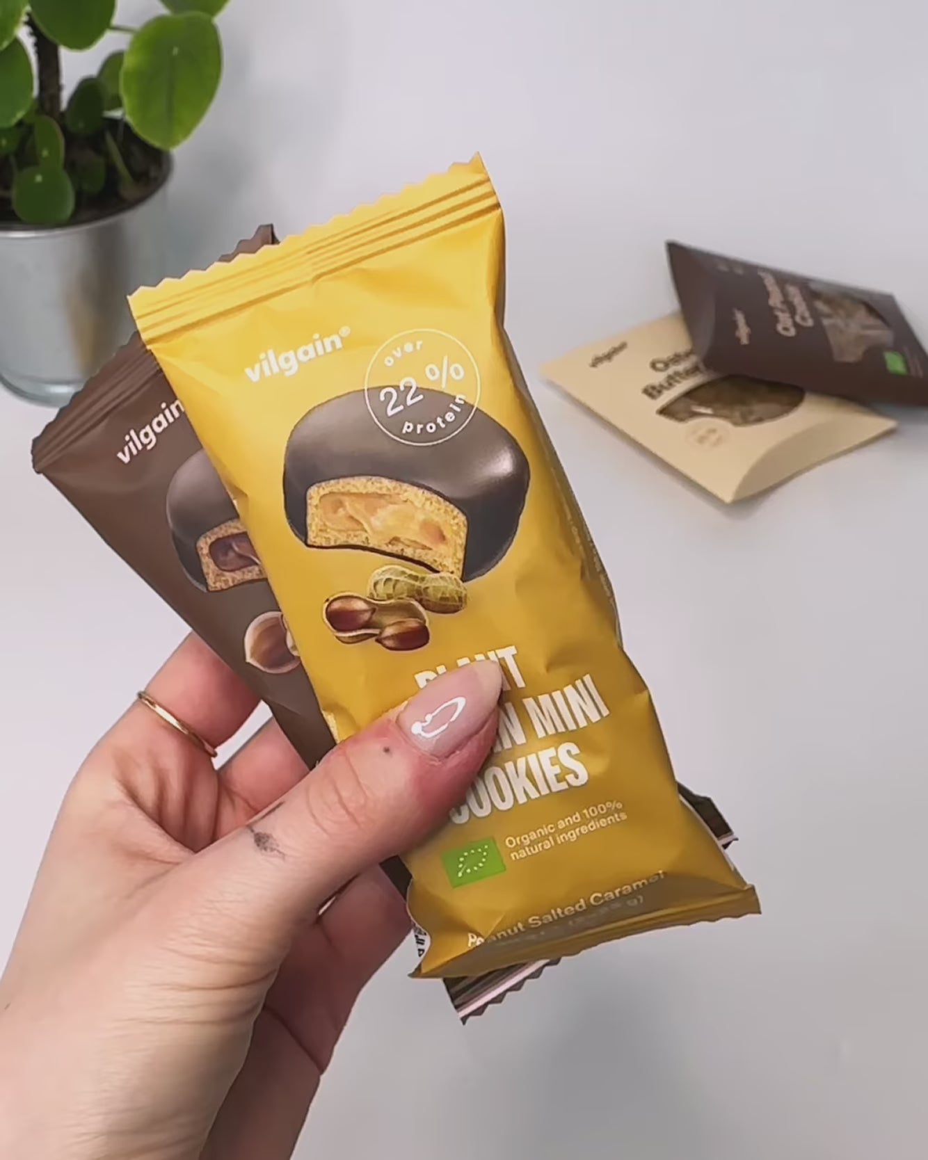 Vilgain Organic Plant Protein Mini Cookies 20x50g
